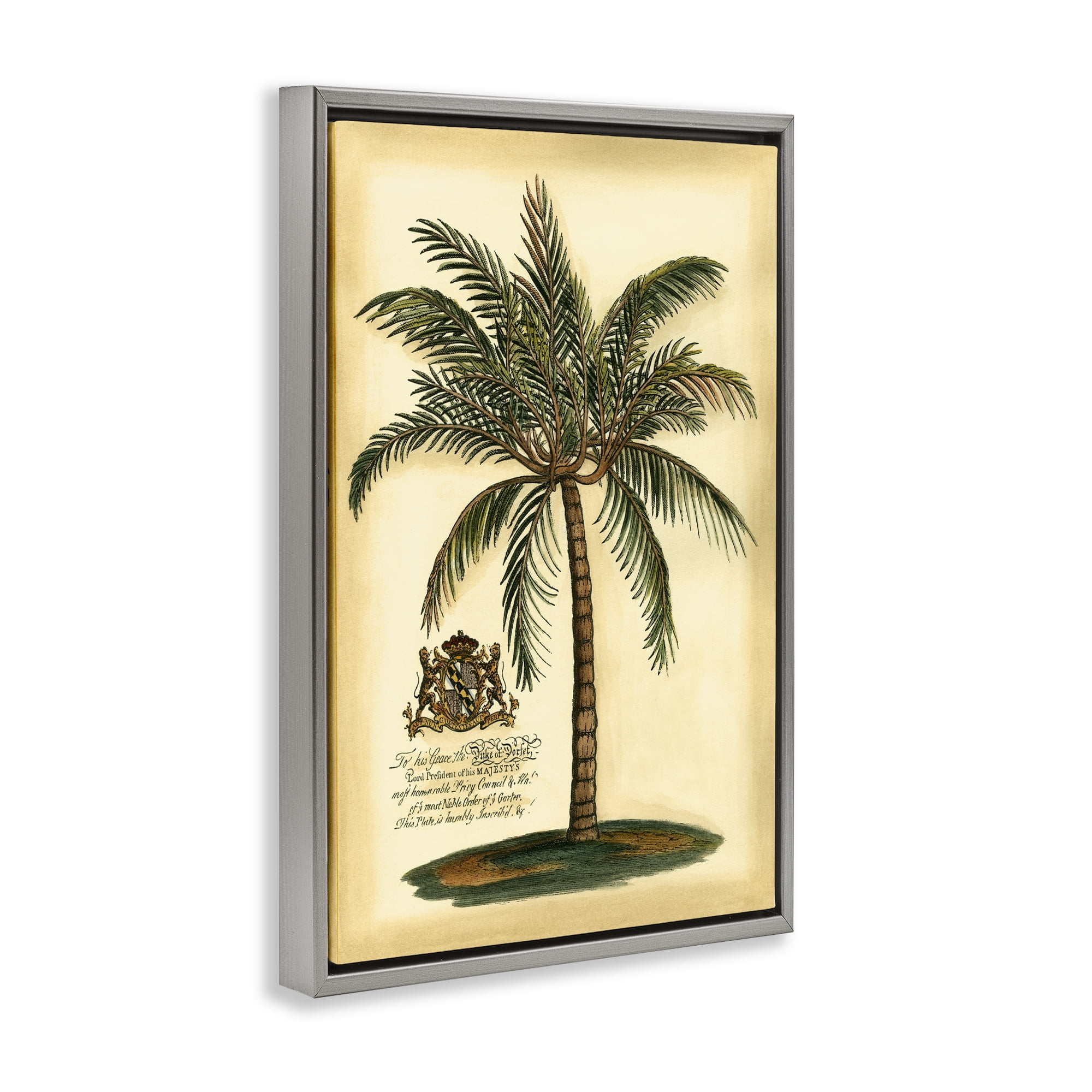 Stupell Industries British Colonial Palm Gray Framed Floater Canvas Wall Art, design by Vision Studio