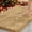 Apricot, variant on Muddy Rug, Seen on TV – Super Absorbent Microfiber Dog Door Mat for Mucky Paws, Non-Slip Washable Pet Rug, Quick Dry Chenille Entryway Carpet, Machine Washable Indoor Mat