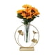 thumbnail image 1 of Florero de cristal de hierro, tubos de ensayo, jarrón, arreglo floral, pntas hidropónicas, , sa de , terrario, contenedor, decoración Ronda perfecl Jarrón hidropónico, 1 of 8