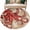 Red, variant on Ocean Red Octopus Bathroom Rug Washable 2x3 Entryway Rug Non Slip Coastal Anchor Sea Boat Retro World Map Front Door Mat Low Pile Indoor Doormat Throw Floor Carpet for Kitchen Bedroom Entrance