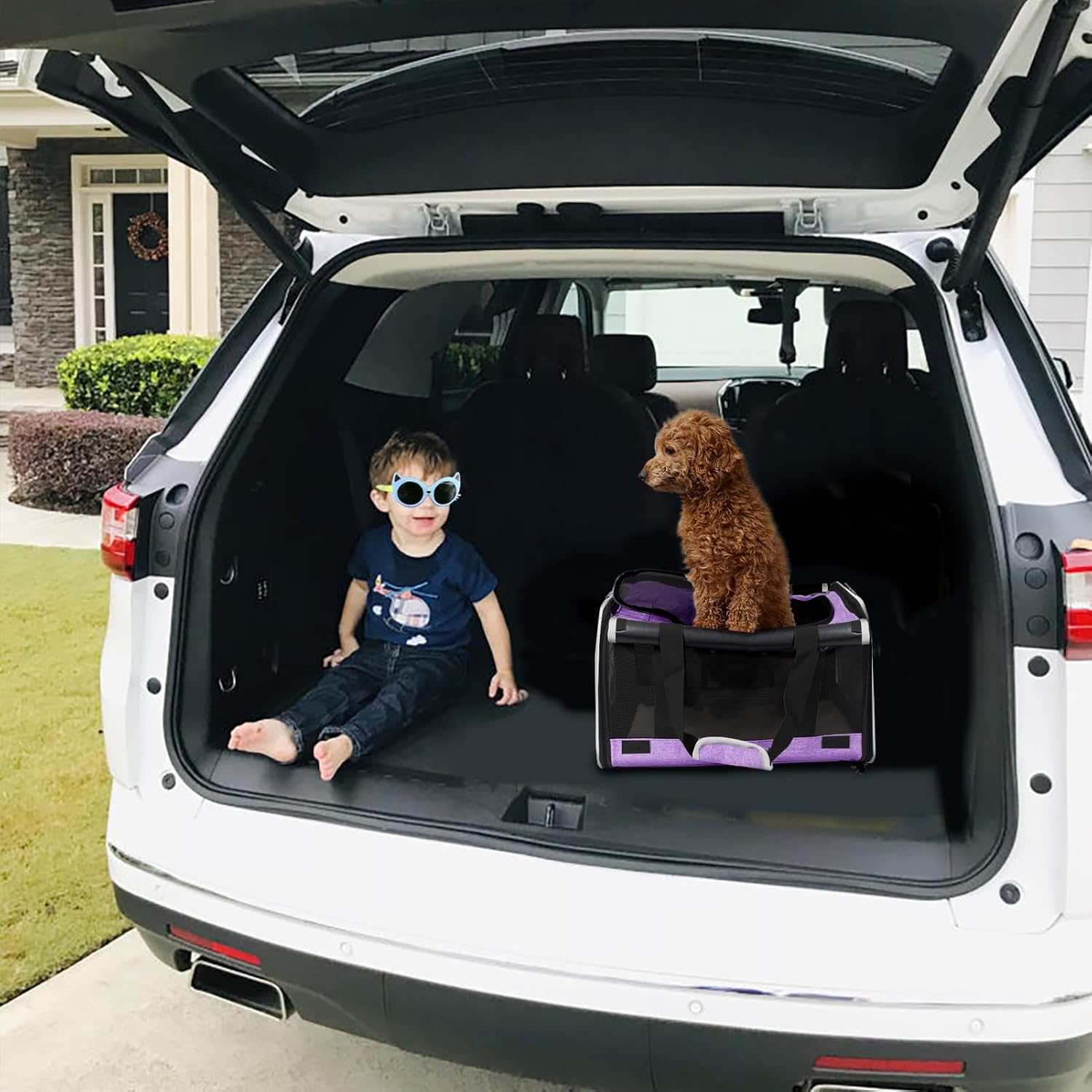Pet Carrier for Large and Medium Cats, Soft-Sided Pet Carrier for Big Medium Cats and Puppy Dog Carriers Cat Carriers, Pet Privacy Protection Travel Carrier
