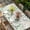 Green, variant on Green Eucalyptus Leaves Table Cloths for 4 Foot Rectangle Tables, Daisy Summer Botanical Watercolor Patio Waterproof Elastic Fitted Tablecloths, Washable Rectangular Table Cover for Camping