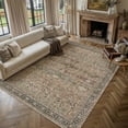 thumbnail image 6 of BERTHMEER 9’x12' Large Brown Area Rugs for Living Room Bedroom Office Dining Room Farmhouse Vintage Oriental Rugs Non Slip Traditional Distressed Rugs, 6 of 9