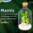 thumbnail image 2 of NAYIHOOP Mantis Insect Building Sets for Adults Girls Not Compatible with Lego, 2 of 6