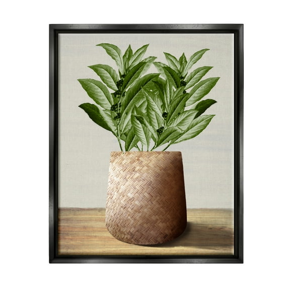 Stupell Industries Greenery in Woven Planter Botanical & Floral Painting Black Floater Framed Canvas Art Print Wall Art, 17 x 21