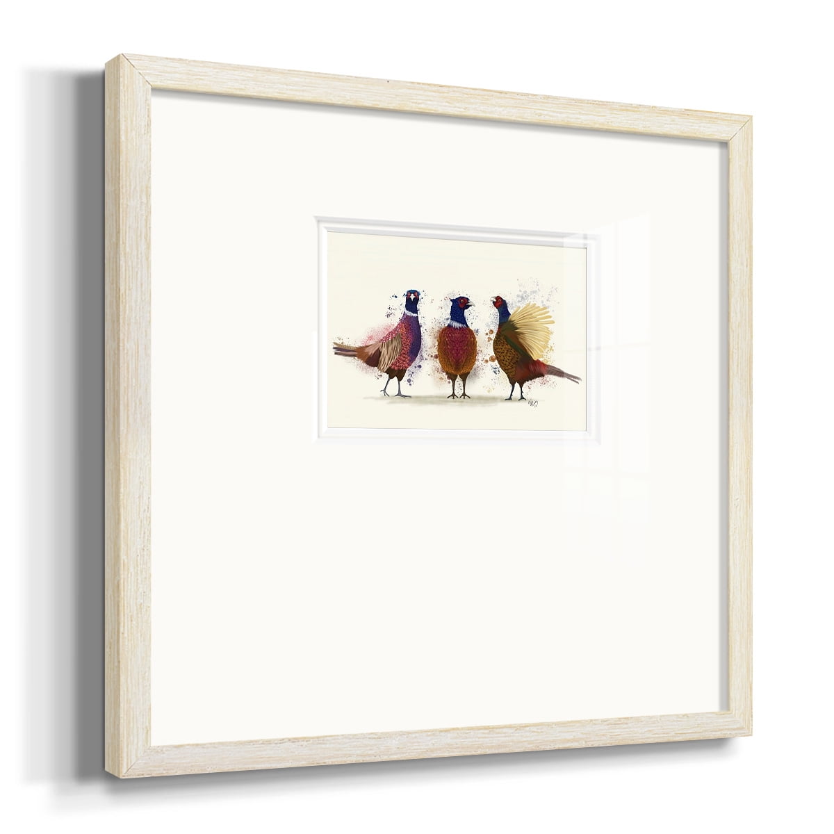 Pheasant TrioPremium Framed Print