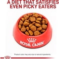 thumbnail image 2 of Royal Canin Canine Small Dental Adult Dry Dog Food 8.8 lbs, 2 of 2