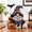 Black-purple, variant on Black-purple Witch Figurine with Book Spooky Magic Tabletop Decor