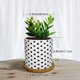 thumbnail image 3 of Paquete de 4 macetas, mini macetas de jardinería suculentas de cerámica con bandeja de bambú para plantas pequeñas, flores, cactus, decoración del hogar Vhermosa YQ-1556, 3 of 4