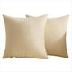 thumbnail image 1 of Fundas de Cojín Beige para Sofá de 20x20 Pulgada, Juego de 2 Fundas de Cojín Decorativas Suaves de Estilo Europeo, Estilo Rústico, para Sofá o Sala de Estar., 1 of 5