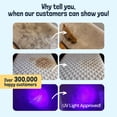thumbnail image 3 of Sunny & Honey Carpet Cleaner Solution - Rug Shampoo & Upholstery Cleaning Solution - Pet Surface Odor Eliminator & Pet Stain Remover (32 fl oz, Fresh Summer Scent), 3 of 9