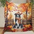 thumbnail image 3 of Happy Thanksgiving Border Collie Give Thanks Fall Beanie Scarf Welcome Quilt Blanket Borders Dog Lovers Gifts Idea Cozy Comforter Throw Blanket - 00020, 3 of 5