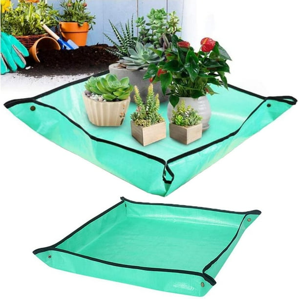 2 Pezzi Tappetini per Piante Tappetino da Giardinaggio Stuoia di Piantagione Tappetino da Trapianto Impermeabile PE Tappetino per Rinvaso di Piante Tappetino da Lavoro da Interno 100 cm/66 cm Shuxiu Wang 9024715002341