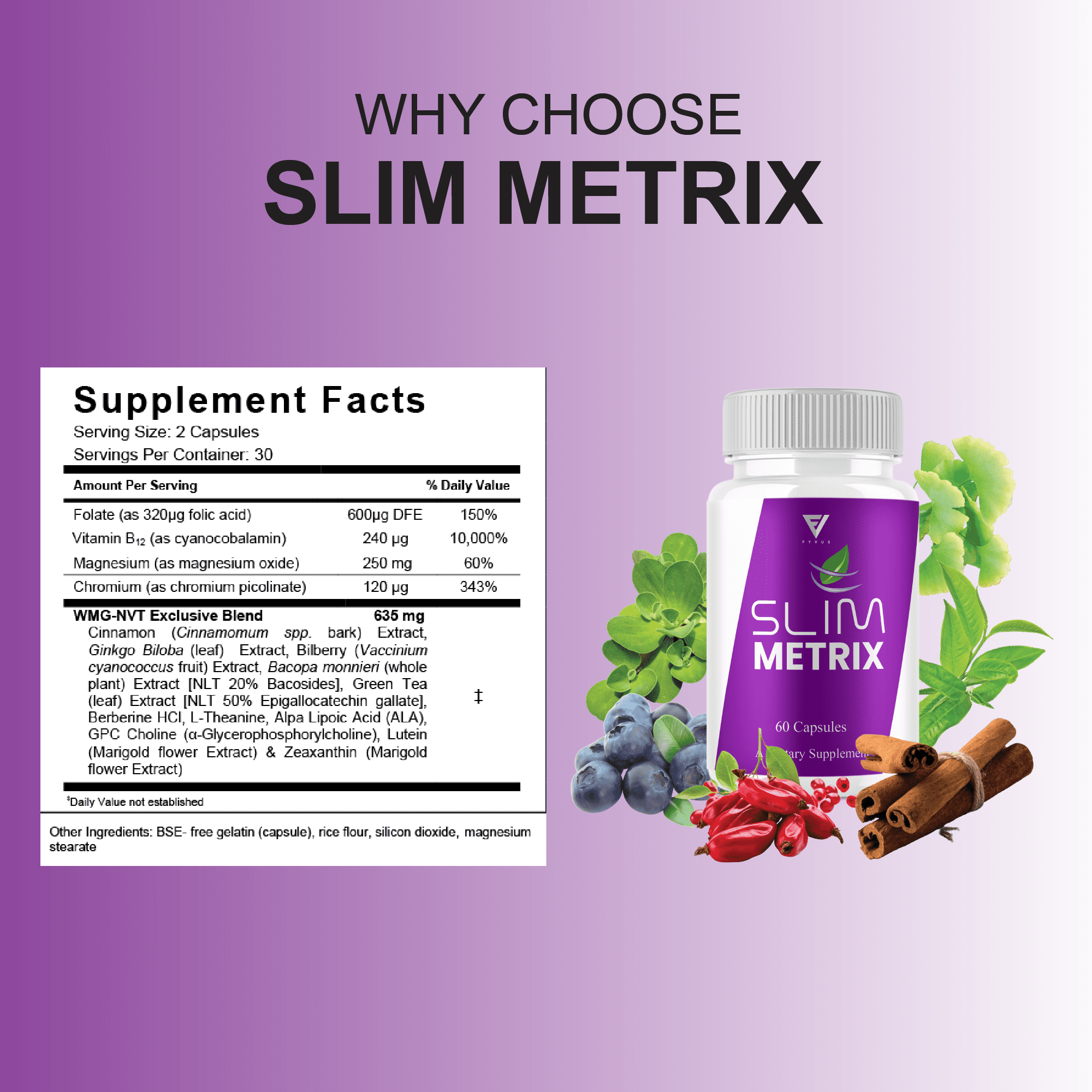 Slim Metrix Advanced Weight Supplement, Slim Metrix Support (60 Capsules)