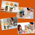 thumbnail image 2 of Potted Flowers Crochet Kit Complete Crochet Kit for Beginners Potted Flowers Kit for Beginers and Experts with Step-by-Step Video Tutorials, 2 of 8