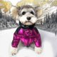 thumbnail image 2 of S Ropa de diseñador de lujo para perros, chaqueta de plumón, abrigo de invierno grueso y cálido, Vel, 2 of 5
