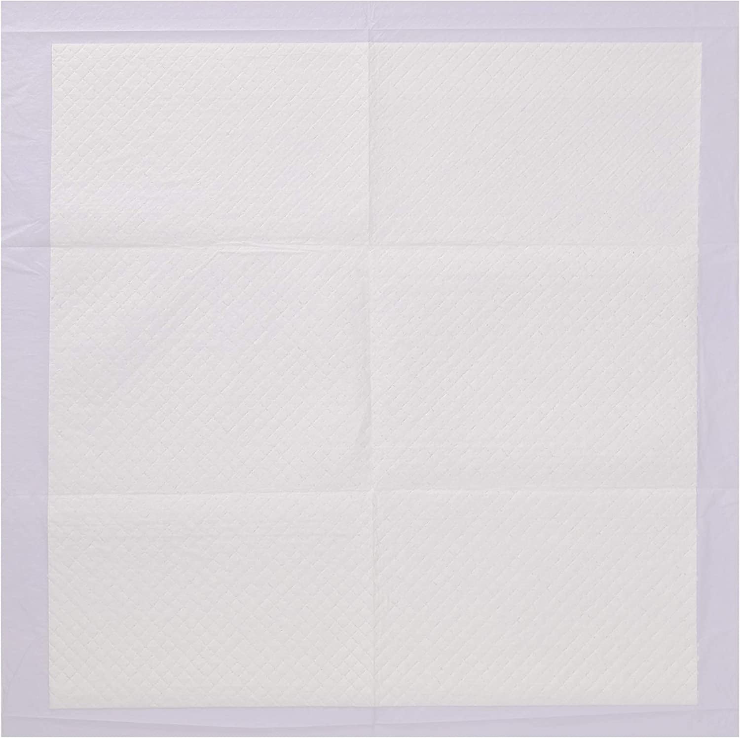 Wags & Wiggles 21" x 21" Training Pad - 100 Pack