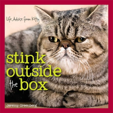 Stink Outside the Box : Life Advice from Kitty