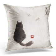 ARHOME Black Fluffy Cat Watching Over Dragonflies on Vintage Contains Hieroglyphs Eternity Freedom Happiness Pillow Case Pillow Cover 20x20 inch