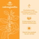 thumbnail image 4 of Suplemento ORGANIC INDIA Ashwagandha 180 cápsulas veganas, 4 of 8