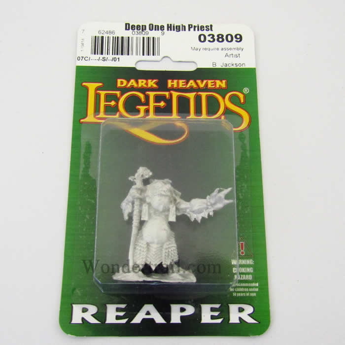 Dark Heaven Legends Reaper 03809 Deep One High Priest 