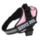 thumbnail image 1 of Arnés para perros Rose, talla S, ajustable, transpirable y antitirones, ideal para el entrenamiento al aire libre, para perros pequeños y medianos., 1 of 5