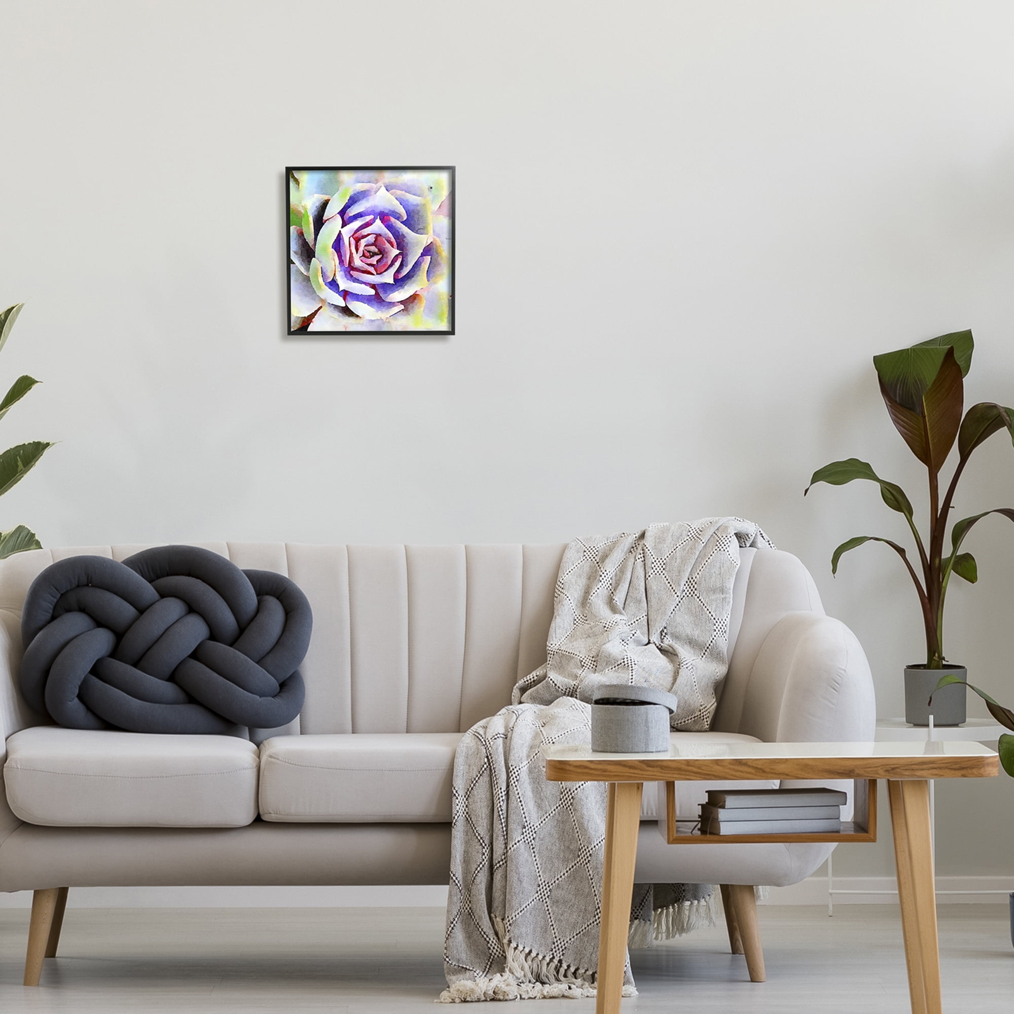 Stupell Industries Bold Succulent Watercolor Leaves Botanical & Floral Painting Black Framed Art Print Wall Art