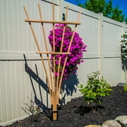 Gronomics Expandable Fan Trellis Kit - 38W x 72H in.