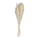 thumbnail image 5 of Gypsophila Bouquet Natural Dried Flower Decoration Dried Flower Holiday Gift, 5 of 5