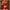 Red, variant on Xysaqa Womens 2 Piece Pjs Floral Lace Pajama Set Babydoll Strappy Cami Shorts Sleepwear Pjs Set for Women S-XXL