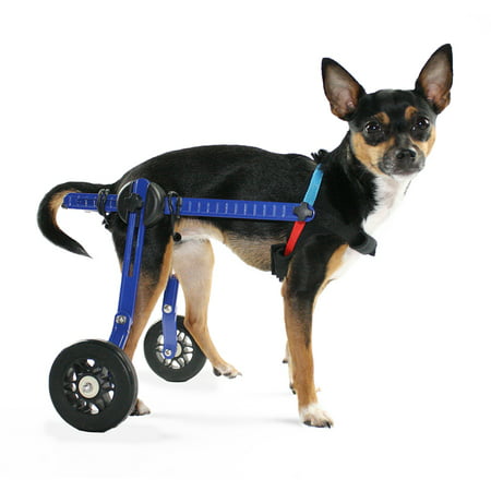 Dog Wheelchair -XS for Mini/Toy Breeds 2-10 lbs-Veterinarian