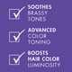 thumbnail image 4 of Combo de champú y acondicionador Nexxus Blonde Purple 400 ml, 4 of 6
