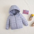 thumbnail image 3 of Popvcly 1-7T Toddler Kid Boys Girls Winter Thickened Warm Lamb Coats Dinosaur Hooded Faux Fur Fleece Jacket Zip-up Outwear, 3 of 4