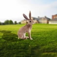 thumbnail image 1 of HOARBOEG Kid Toys Children's Cute Rabbit Model Toy Doll Model Department Educational Toys Christmas Gift, 1 of 2