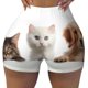 thumbnail image 2 of Fotbe Cute Kittens And Puppy Shorts Sin Costuras – Shorts Deportivos de Cintura Alta para Mujer, Elásticos para Gimnasio, Yoga, Running o Ciclismo-Small, 2 of 8