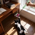 thumbnail image 5 of Forestwhale Multifunctional Cat Teaser Wand 14.2in Interactive Cat Toy with Feather Type-C Rechargeable UV Light Boredom Relief, 5 of 6