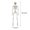 B, variant on Halloween Skeleton House Decoration Props, Movable Human Skeleton Simulation for Spooky HAUNTEDD HOUSE & Party Scene Layout