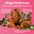 thumbnail image 6 of Fungiments Super Cute, Biotin Gummies, Collagen Peptides, Keratin, Vitamin C, Chaga, Bamboo Extract, Mushroom Supplement Gummies for Healthier Skin, Smooths Appearance of Fine Lines and Wrinkles 30ct, 6 of 7