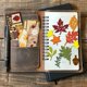 thumbnail image 3 of Troqueles metálicos de hojas de otoño, troqueles de hojas de arce y ginkgo, plantilla para repujado de setas de avellana, plantilla para scrapbooking, 3 of 9
