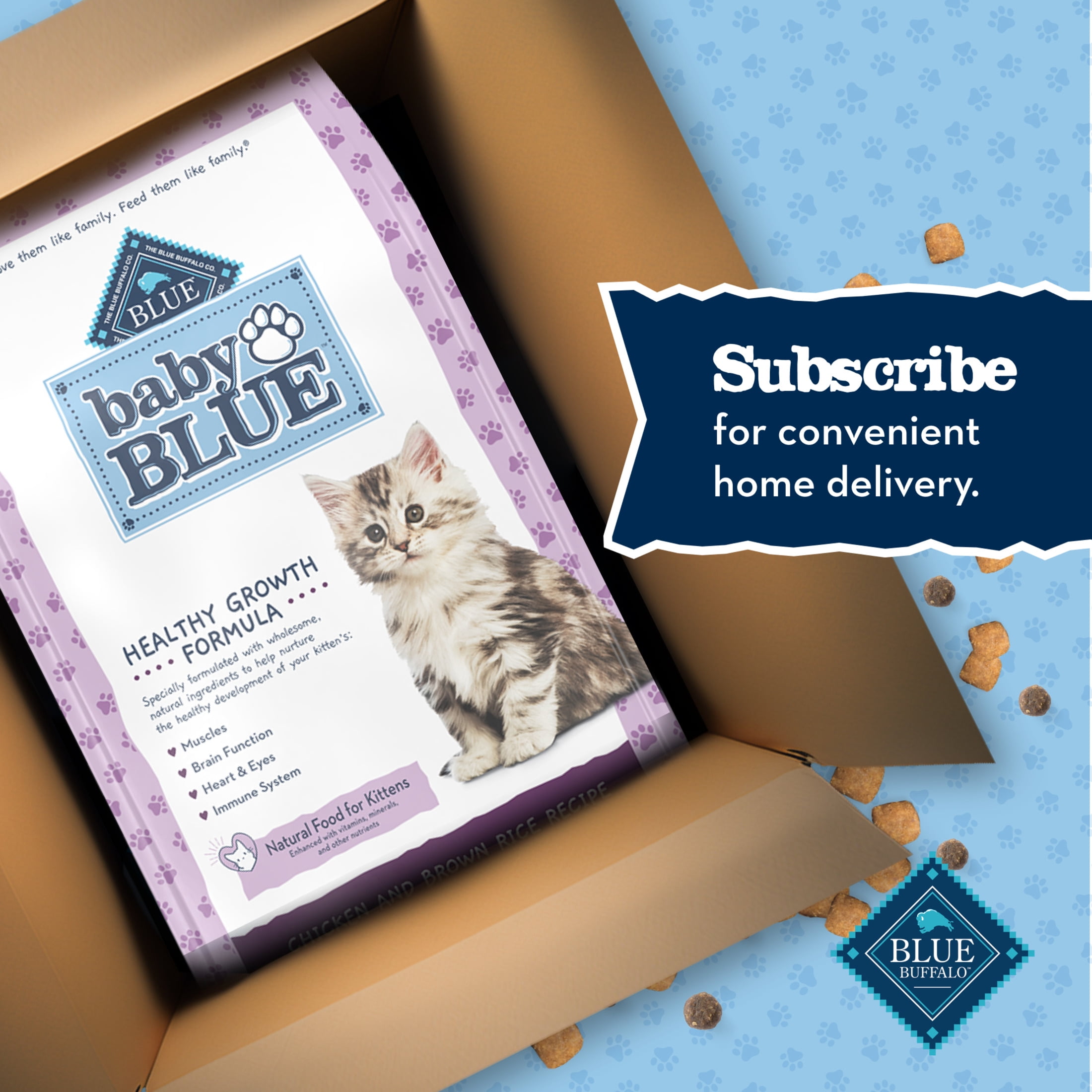 HOT After Birth Why Cat Eats Her Kitten After Birth Baby Kittens Eat