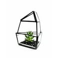 thumbnail image 5 of WGV Short Triangular Obelisk Geometric Glass Terrarium- 5" Wide x 6" Height, Good quality Terrarium - 1 Pc, 5 of 7