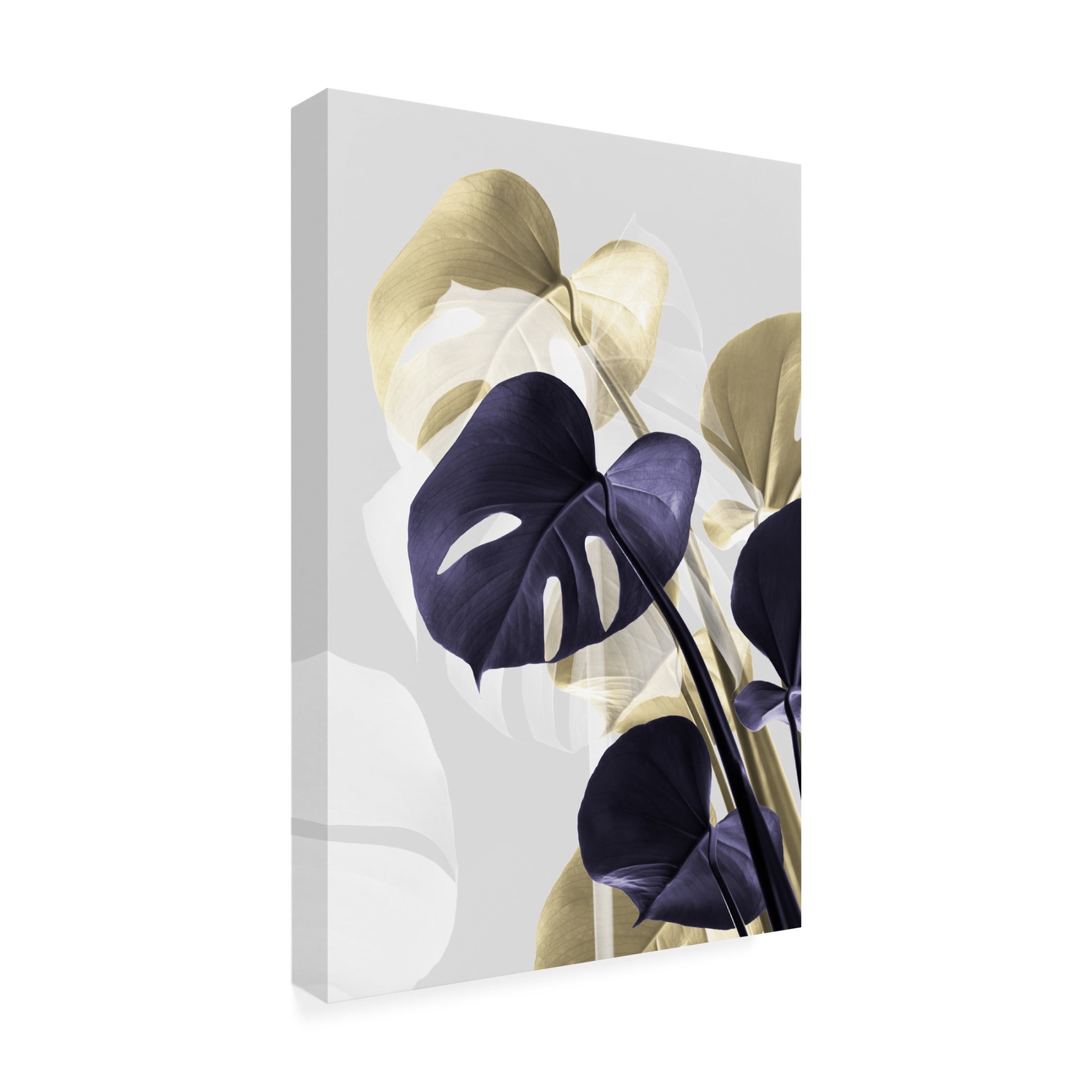 Trademark Fine Art Pictufy Studio Monstera Creative 14 Canvas Wall Art