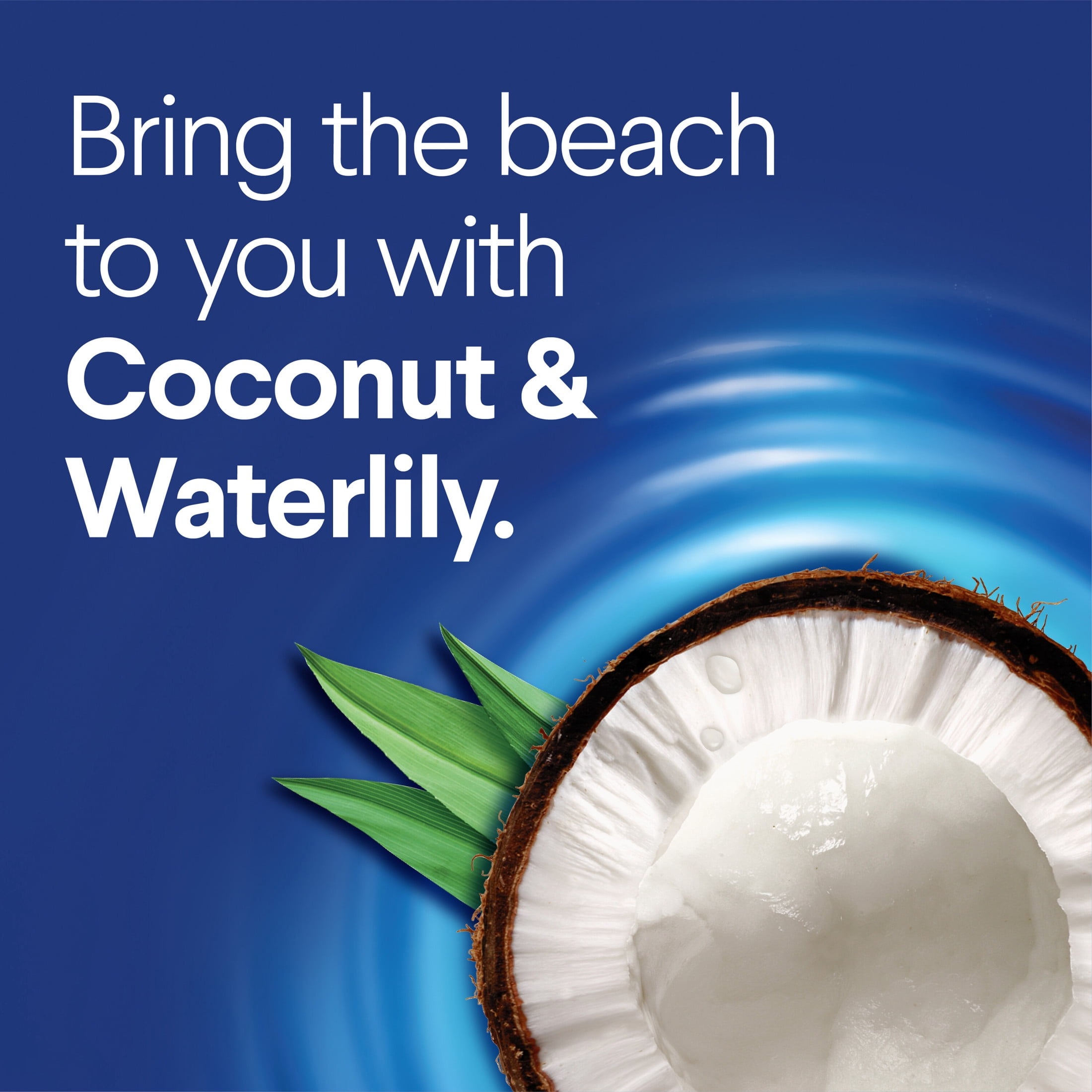 (6 pack) Clorox Scentiva ToiletWand Refills, Coconut and Waterlily, 10 Count