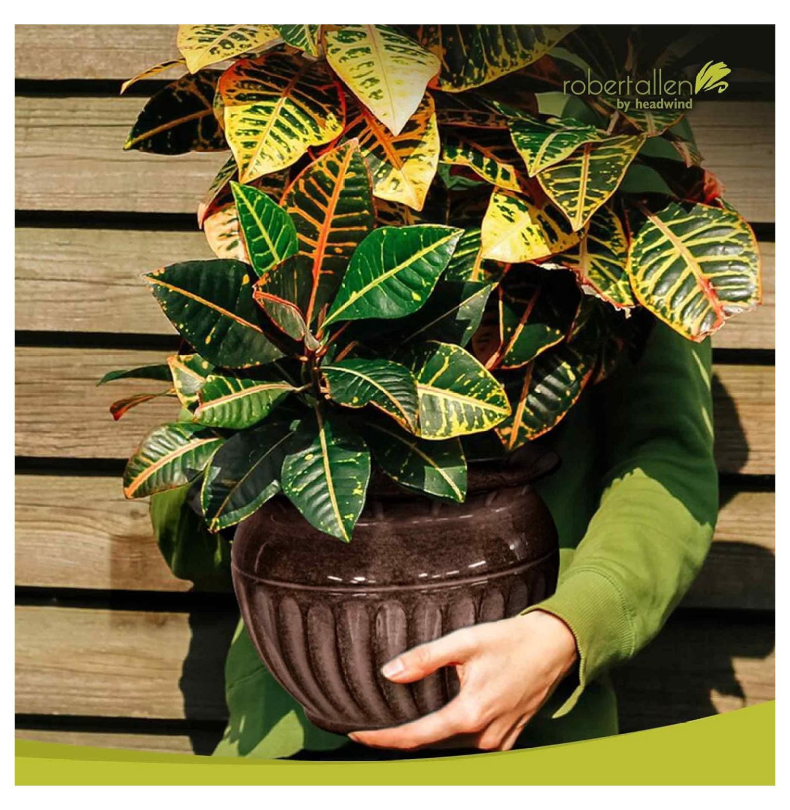 Ironstone Sutton Classic – 10" Brown Decorative Planter with Glossy Durable Finish with Drainage Plug – Lightweight Indoor & Outdoor Flower Pot Use by Robert Allen