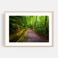 thumbnail image 2 of Flume & Trail - North Carolina Photography Forest Nature Scenic Landscape Botanical Rural Unframed Wall Art Print 32 x 48 inches, 2 of 7