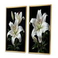thumbnail image 3 of Designart "Lily Exquisite Black White wall decor II" Lilies Framed Wall Art Set Of 2 - Black Floral Gallery Wall Frame Set For Home Decor, 3 of 7
