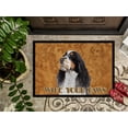 thumbnail image 3 of Carolines Treasures SC9134JMAT Paillasson Intérieur Ou Extérieur 24 x 36 Po Springer Spaniel, 3 of 4