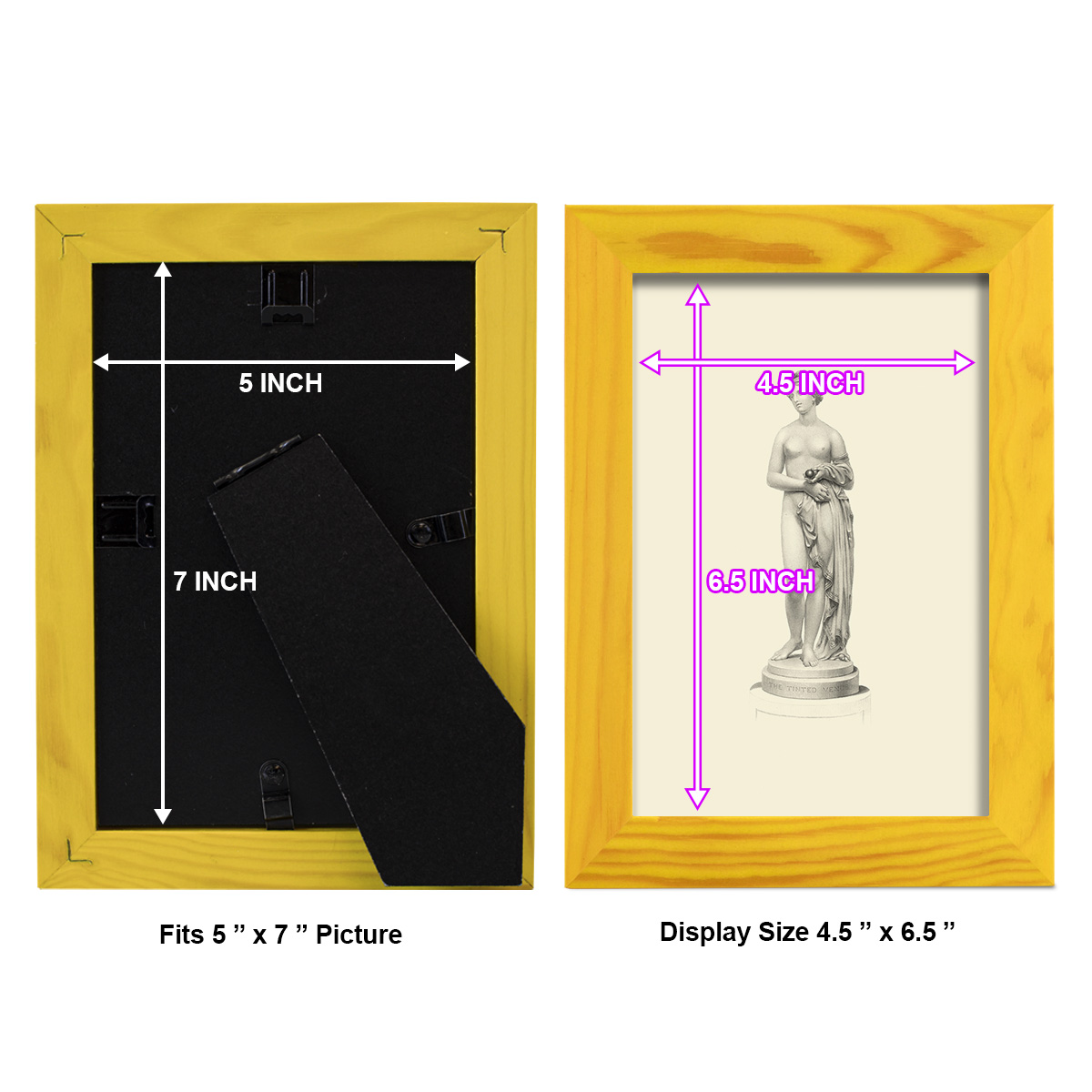 Classical Statuary I -Framed Print w/glass-Sunflower Yellow