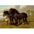 thumbnail image 2 of Sidney, Samuel 18x14 White Modern Wood Framed Museum Art Print Titled - Clydesdale Stallion and Mare, 1900, 2 of 4