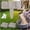 Cement Gray, variant on Plastic Garden Retaining Fence, Mitation Stone Garden Fence - DIY Garden Edging Border, Plastic Retaining Edging Border for Landscaping, No Dig Interlocking Panels (10, Brick Red)
